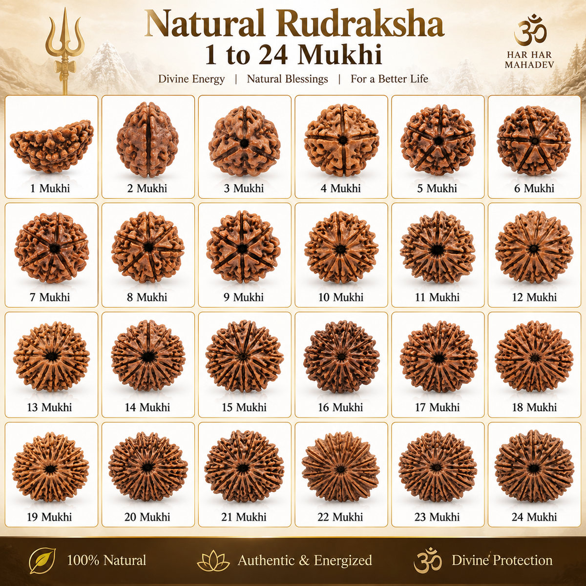 Natural Rudraksha Beads