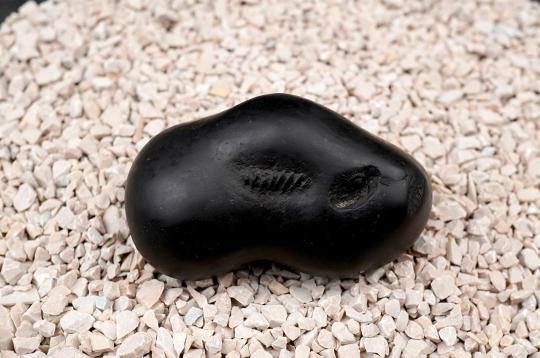 Garbho Dakshayi Vishnu Shaligram