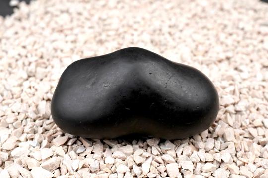 Garbho Dakshayi Vishnu Shaligram