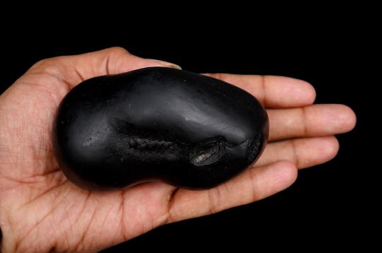 Garbho Dakshayi Vishnu Shaligram