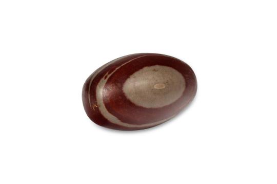 Narmada Shivling
