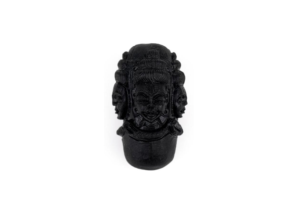 Pashupatinath Shaligram Lingam with Stone Yoni
Base