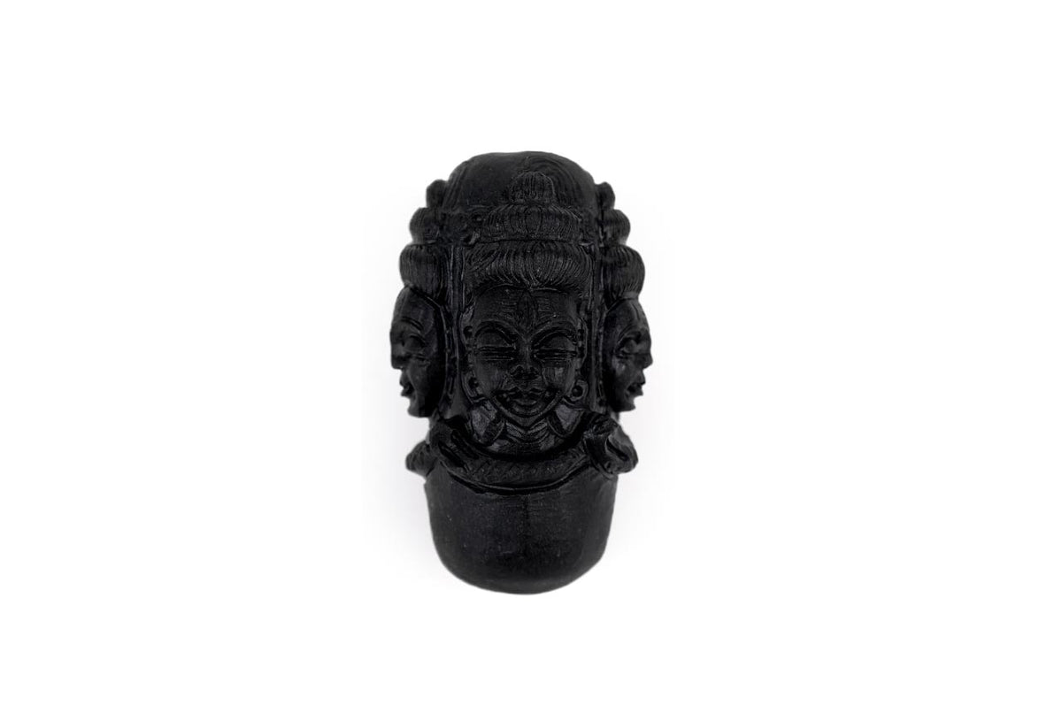 Pashupatinath Shaligram Lingam with Stone Yoni
Base