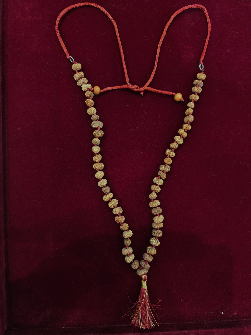Natural 14 Mukhi Rudraksha Mala – 54+1 Beads | Hanuman Rudraksha Mala