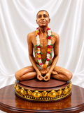 Young Bhagwan Nityanand Murti – Premium Statue