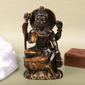 Tiger Eye Shiva ldol - 896 gms