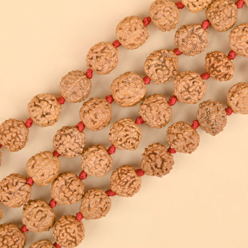 7 Mukhi Rudraksha Mala Bead Size 12mm