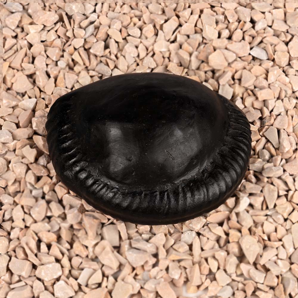 Shiva Parivar Shaligram Shila