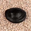 Shiva Parivar Shaligram Shila