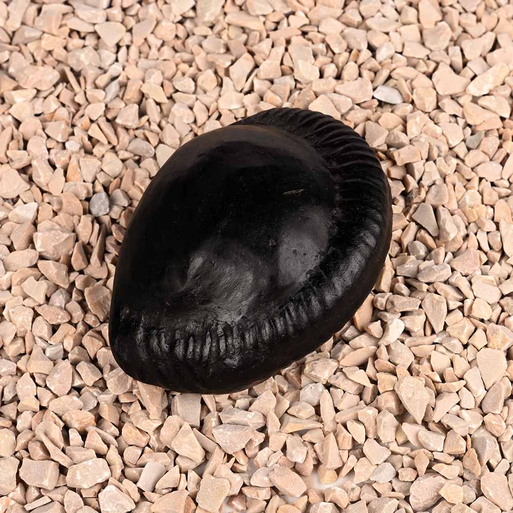 Shiva Parivar Shaligram Shila