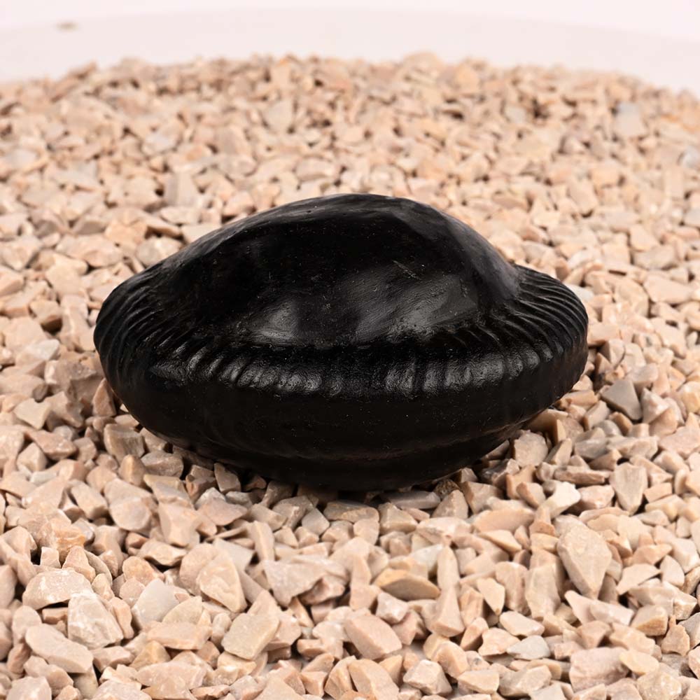 Shiva Parivar Shaligram Shila