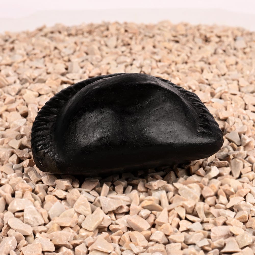 Shiva Parivar Shaligram Shila