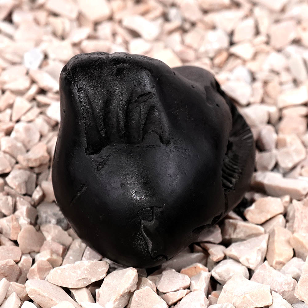 Chaturbhui Chakradhari Maha Vishnu Shaligram Shila