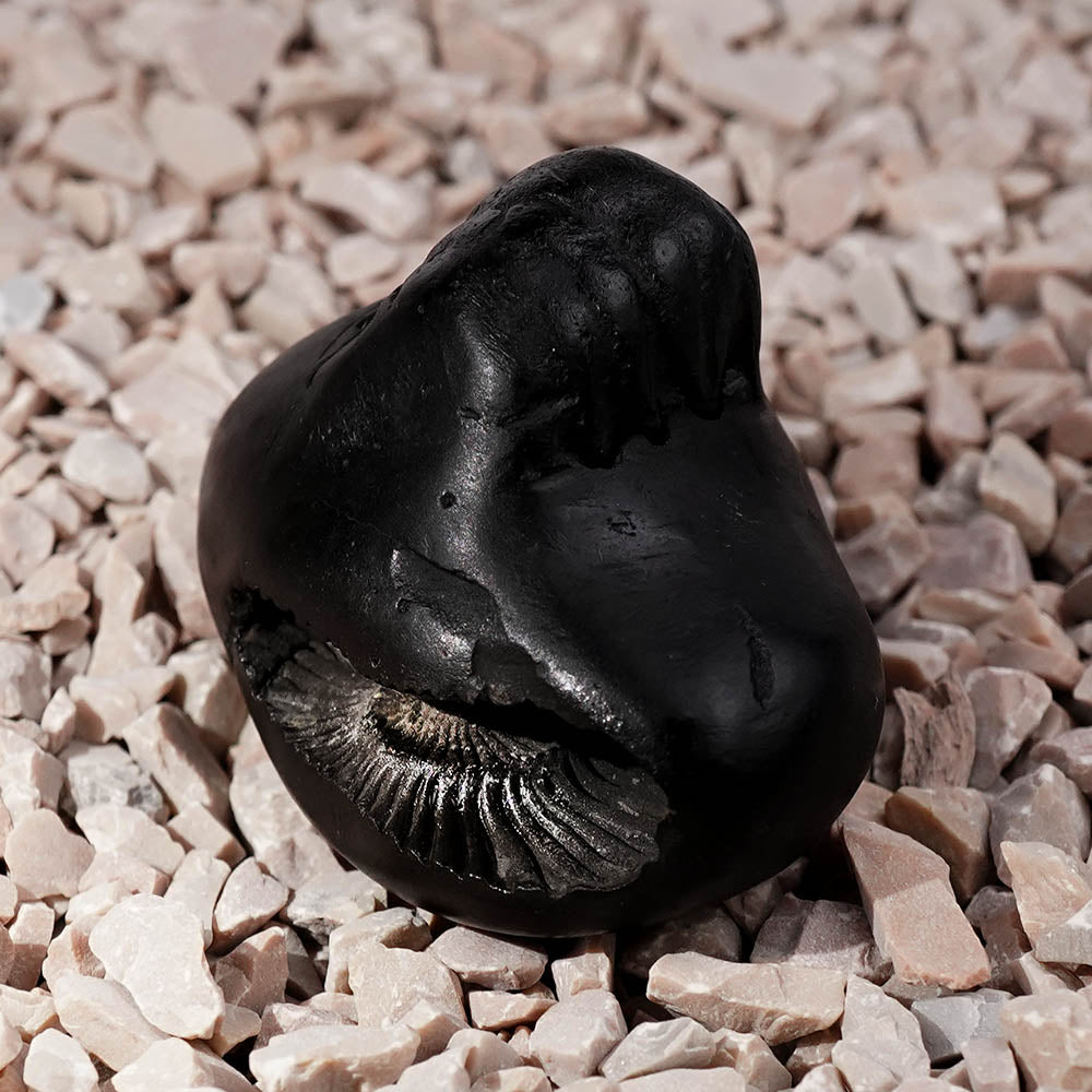 Chaturbhui Chakradhari Maha Vishnu Shaligram Shila