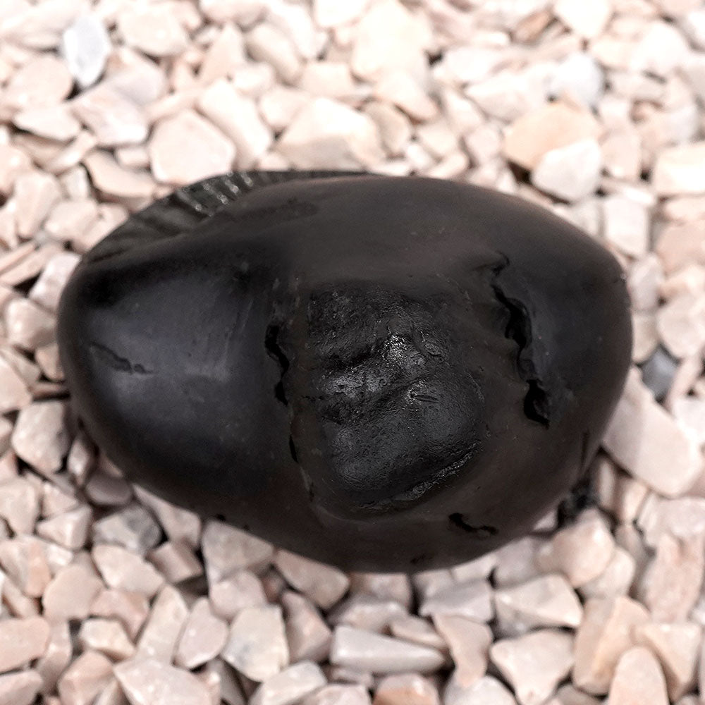 Chaturbhui Chakradhari Maha Vishnu Shaligram Shila