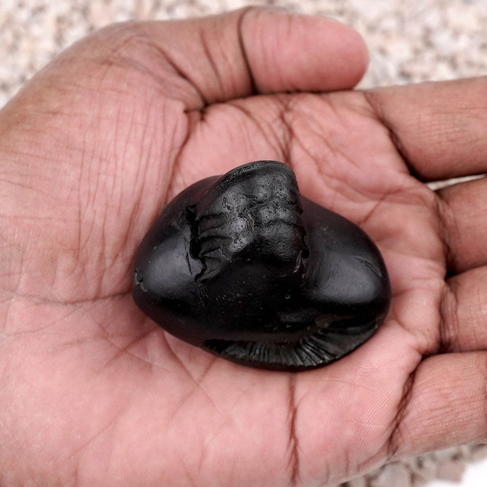 Chaturbhui Chakradhari Maha Vishnu Shaligram Shila