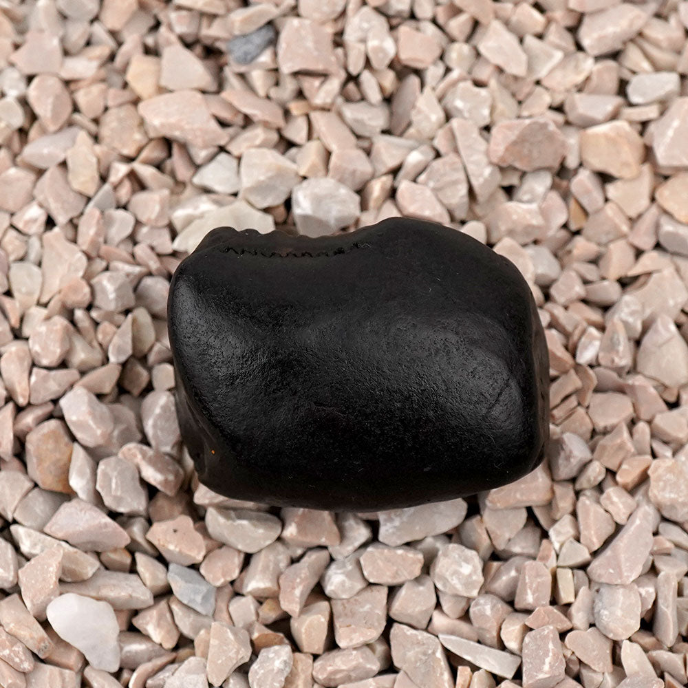 Rishikesh Shaligram Shila