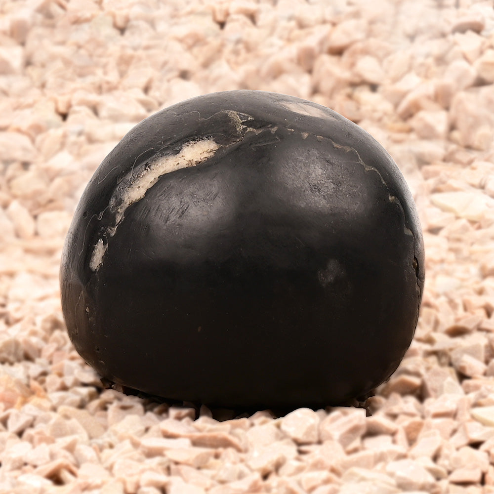 Laxmi Narayan Vaikunth Shaligram
