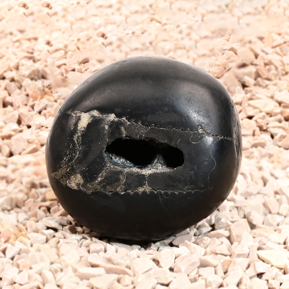 Laxmi Narayan Vaikunth Shaligram