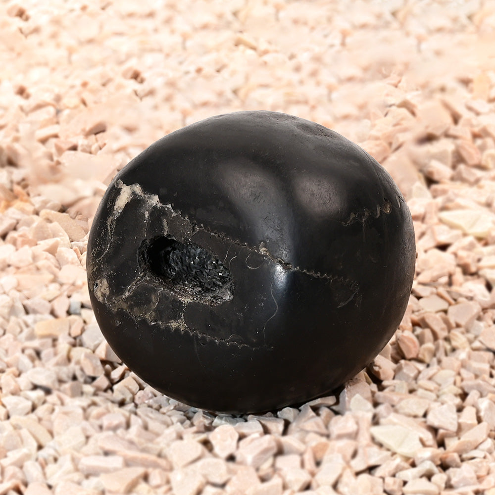 Laxmi Narayan Vaikunth Shaligram