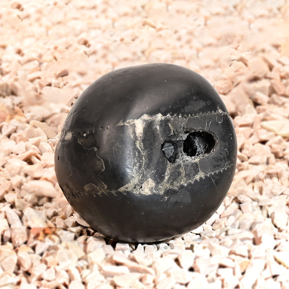 Laxmi Narayan Vaikunth Shaligram
