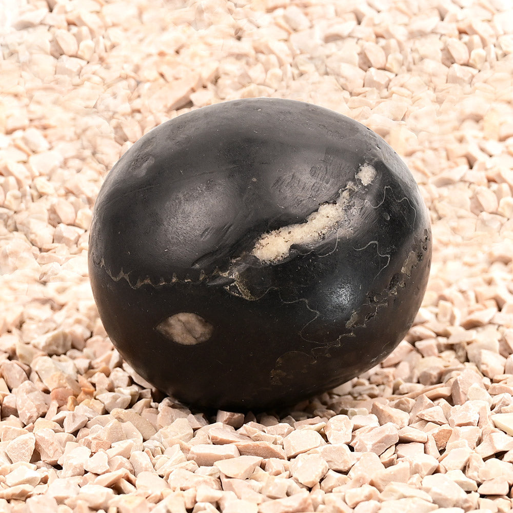 Laxmi Narayan Vaikunth Shaligram
