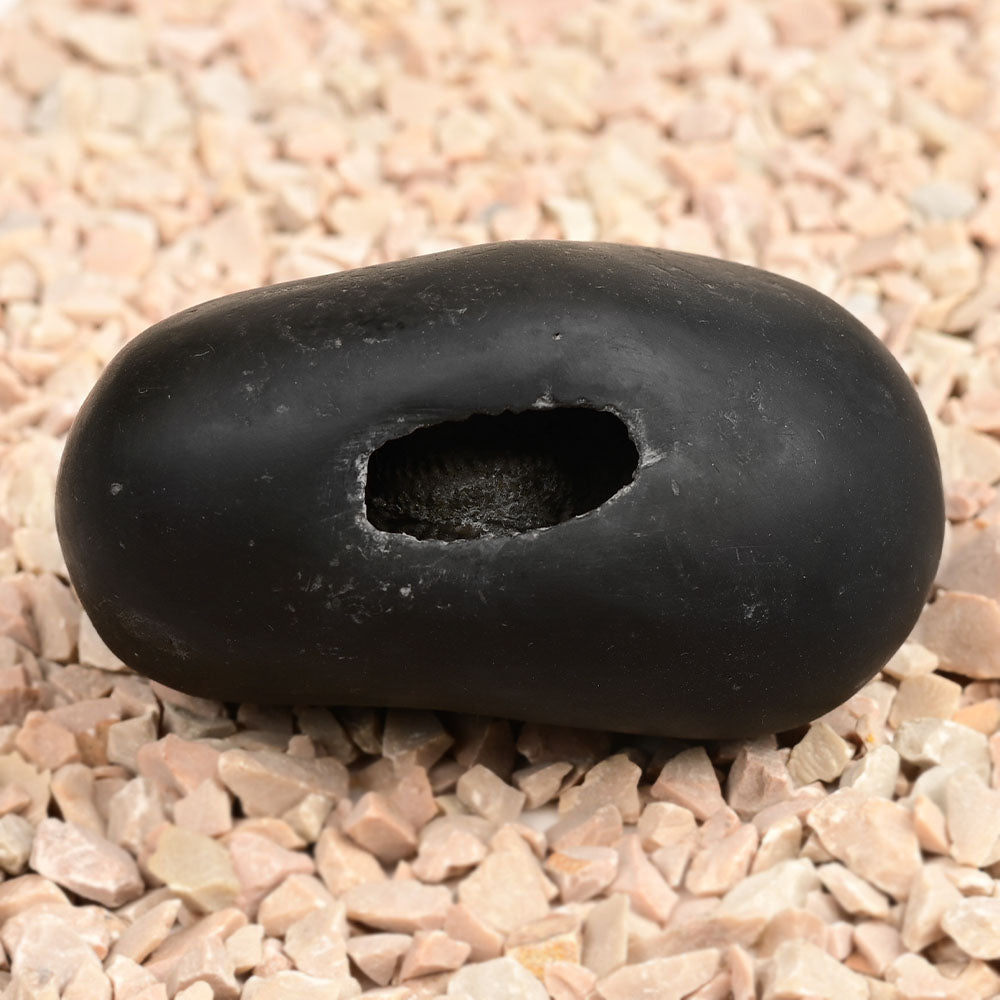 Navdurga Shaligram Shila - 182 gms
