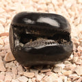 Laxmi Sudarshan Shaligram - 92 gms