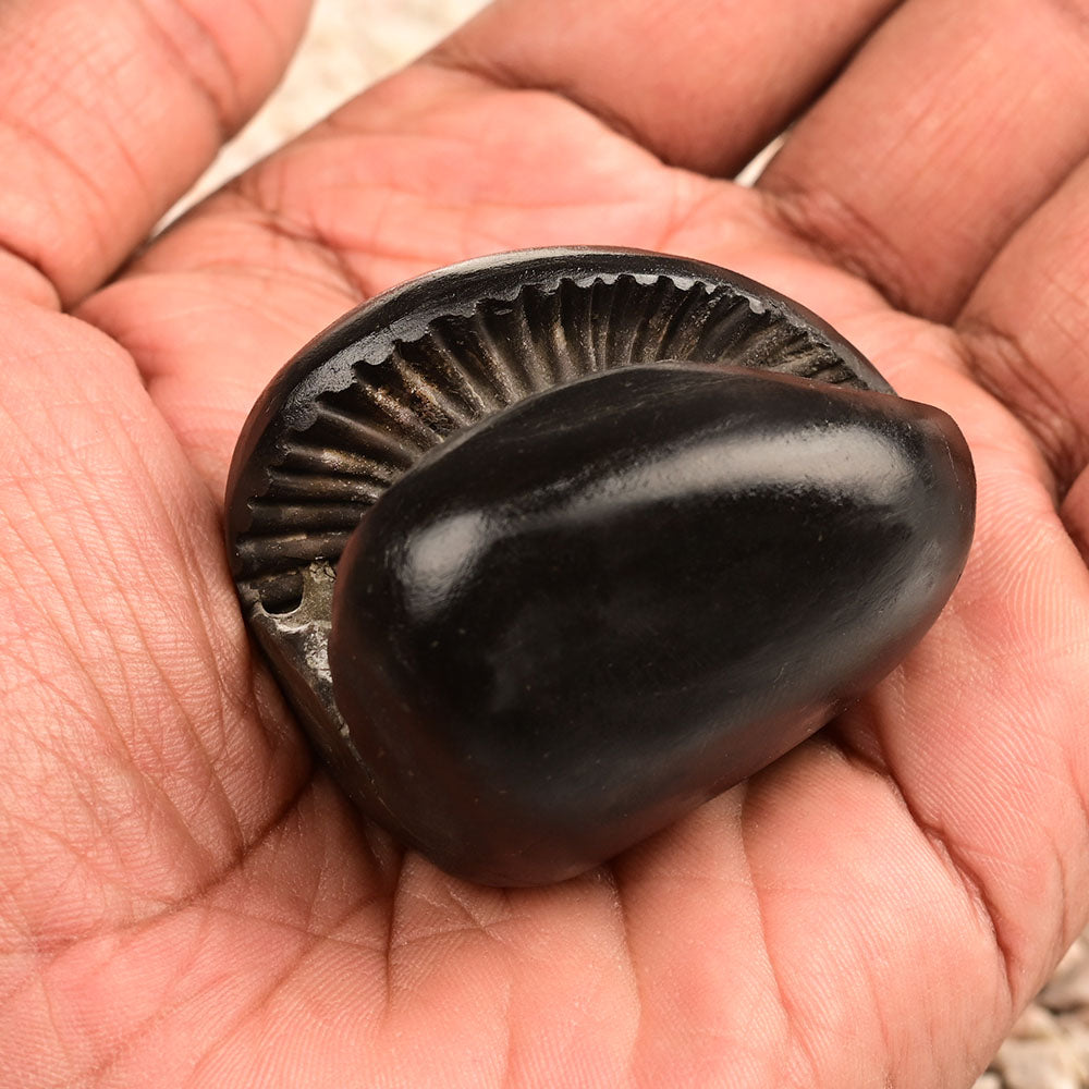 Laxmi Sudarshan Shaligram - 92 gms
