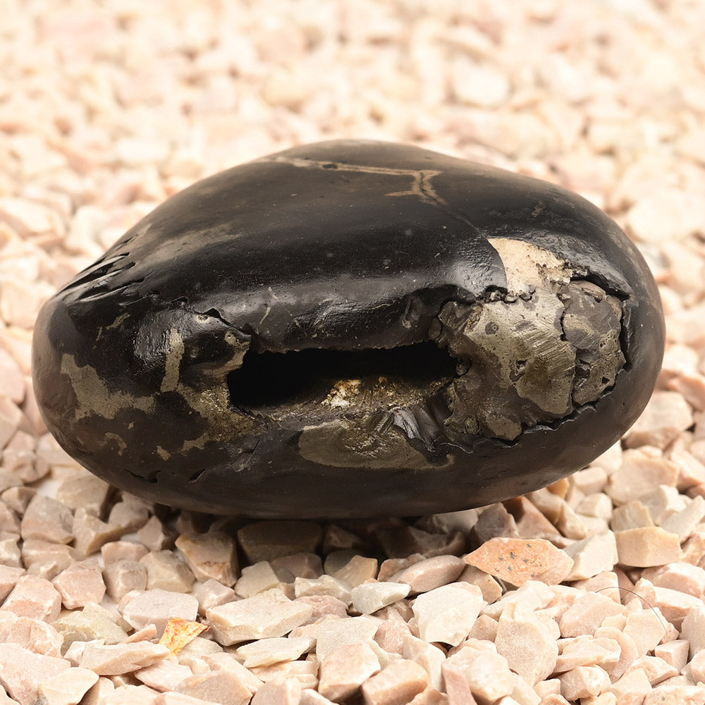 Chakradhari Vishnu Shaligram - 198 gms