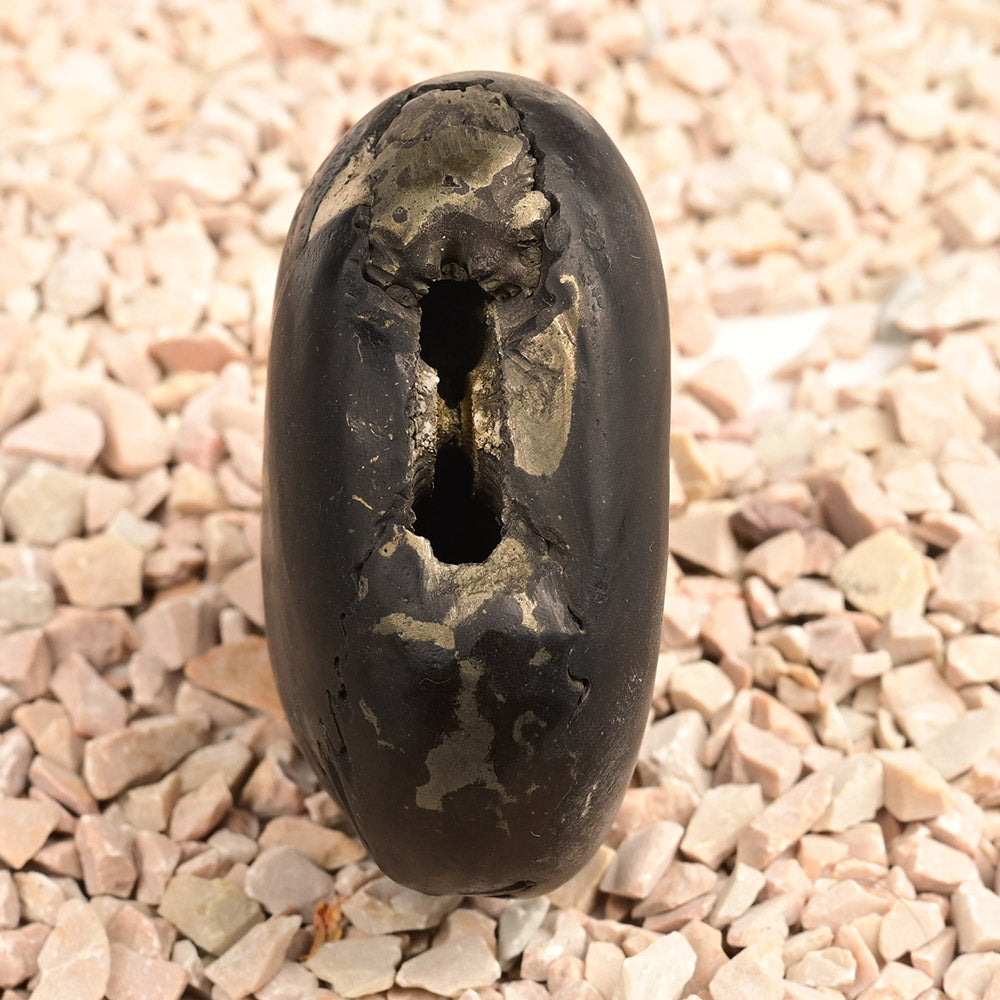 Chakradhari Vishnu Shaligram - 198 gms