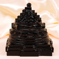 Shaligram Meru Shree Yantra - 575 gms