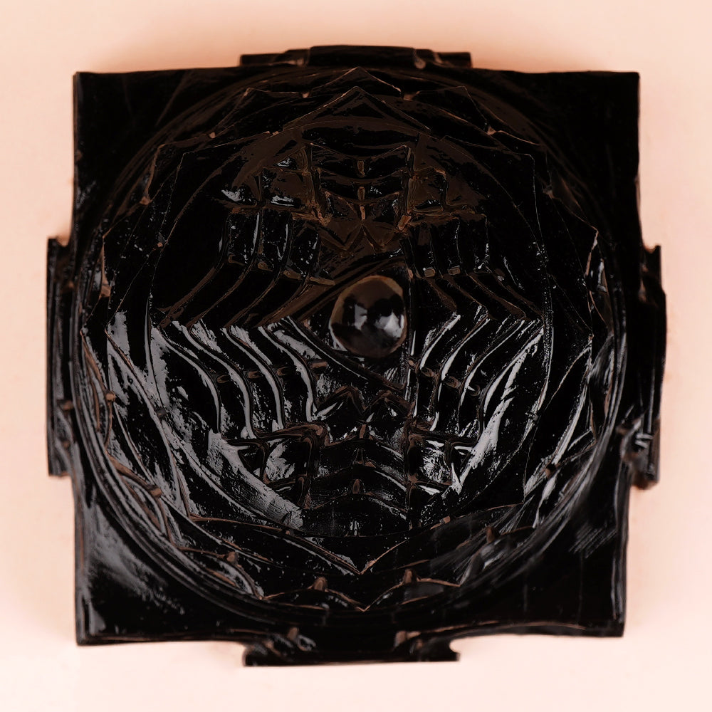 Shaligram Meru Shree Yantra - 575 gms