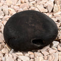 Chakradhari Narsimha Shaligram Shila