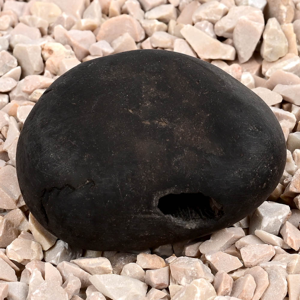 Chakradhari Narsimha Shaligram Shila