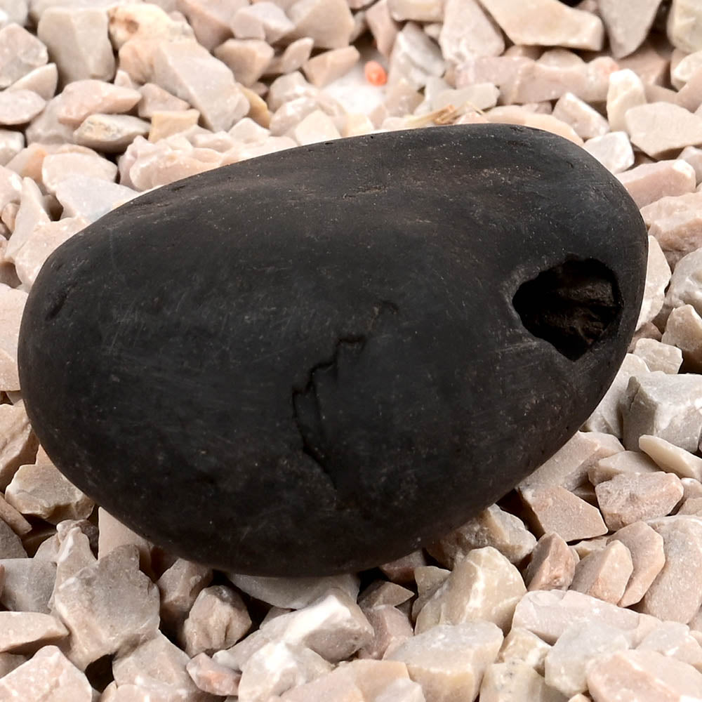 Chakradhari Narsimha Shaligram Shila
