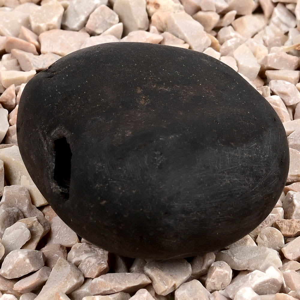 Chakradhari Narsimha Shaligram Shila