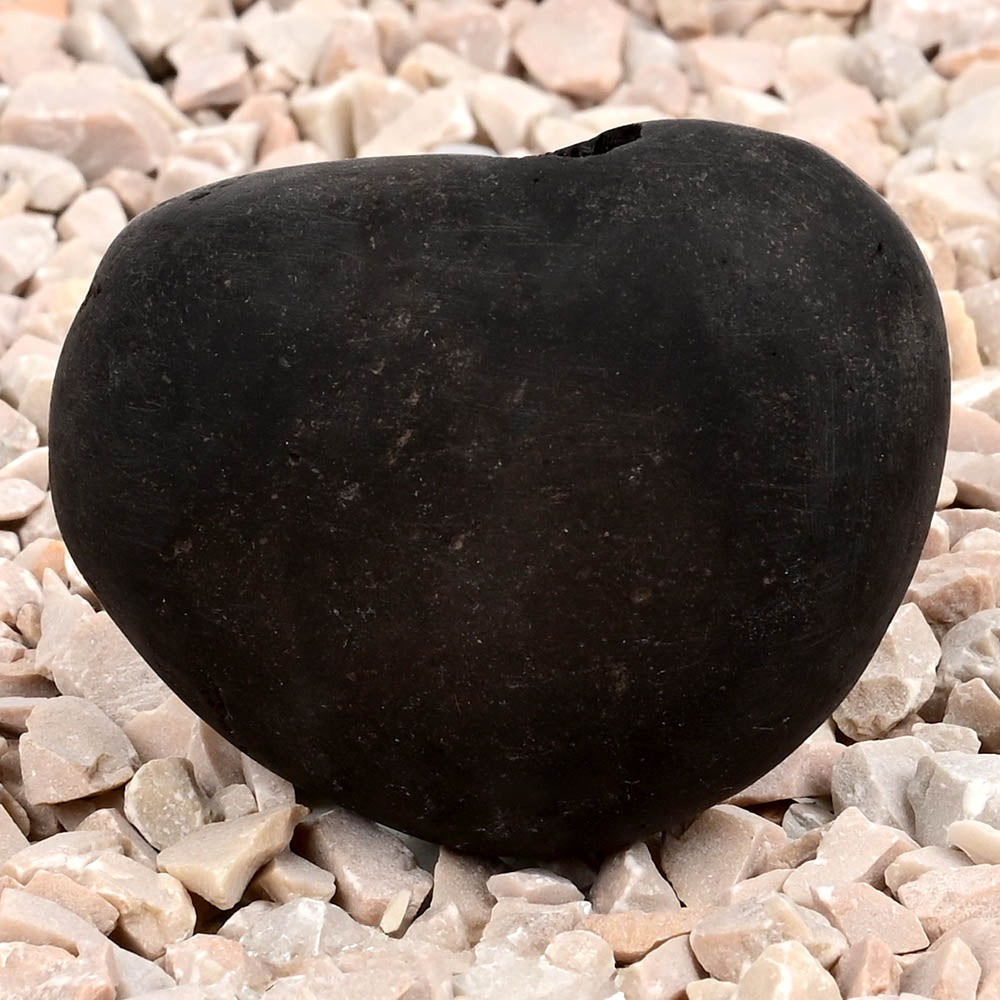 Chakradhari Narsimha Shaligram Shila