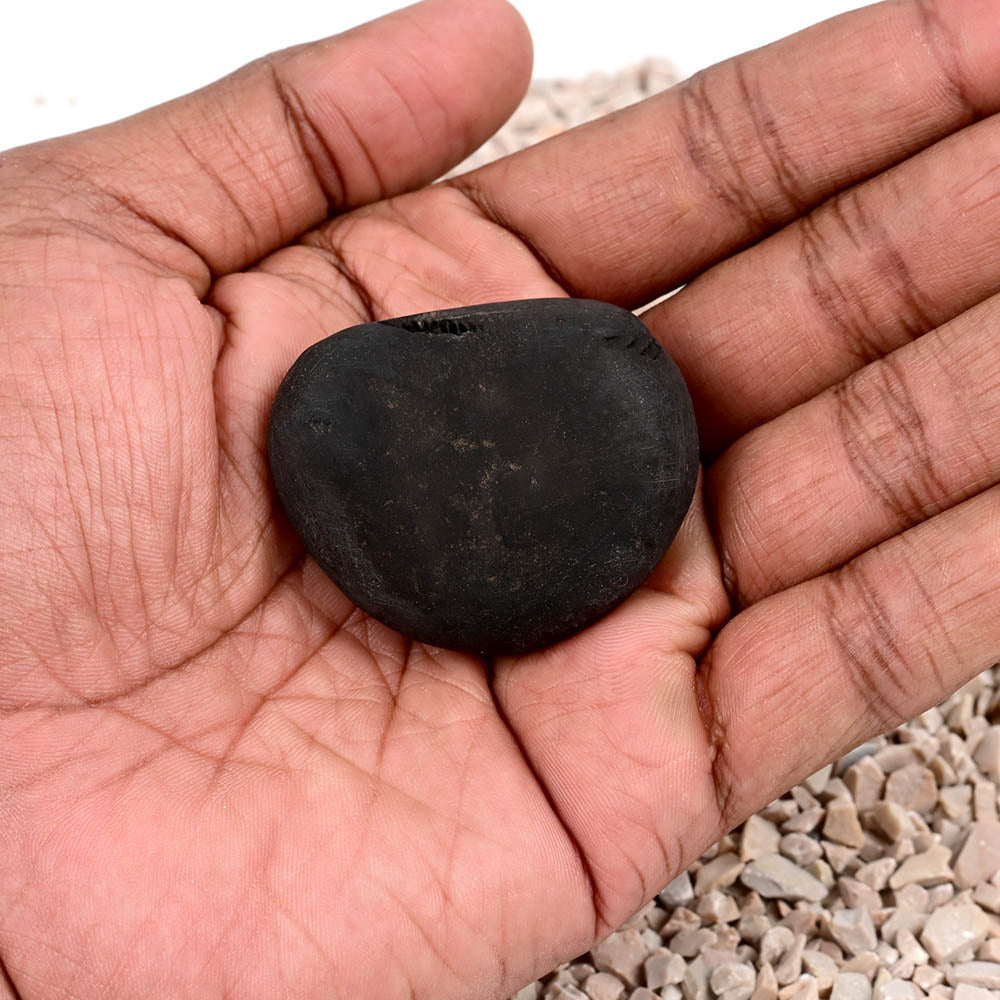 Chakradhari Narsimha Shaligram Shila