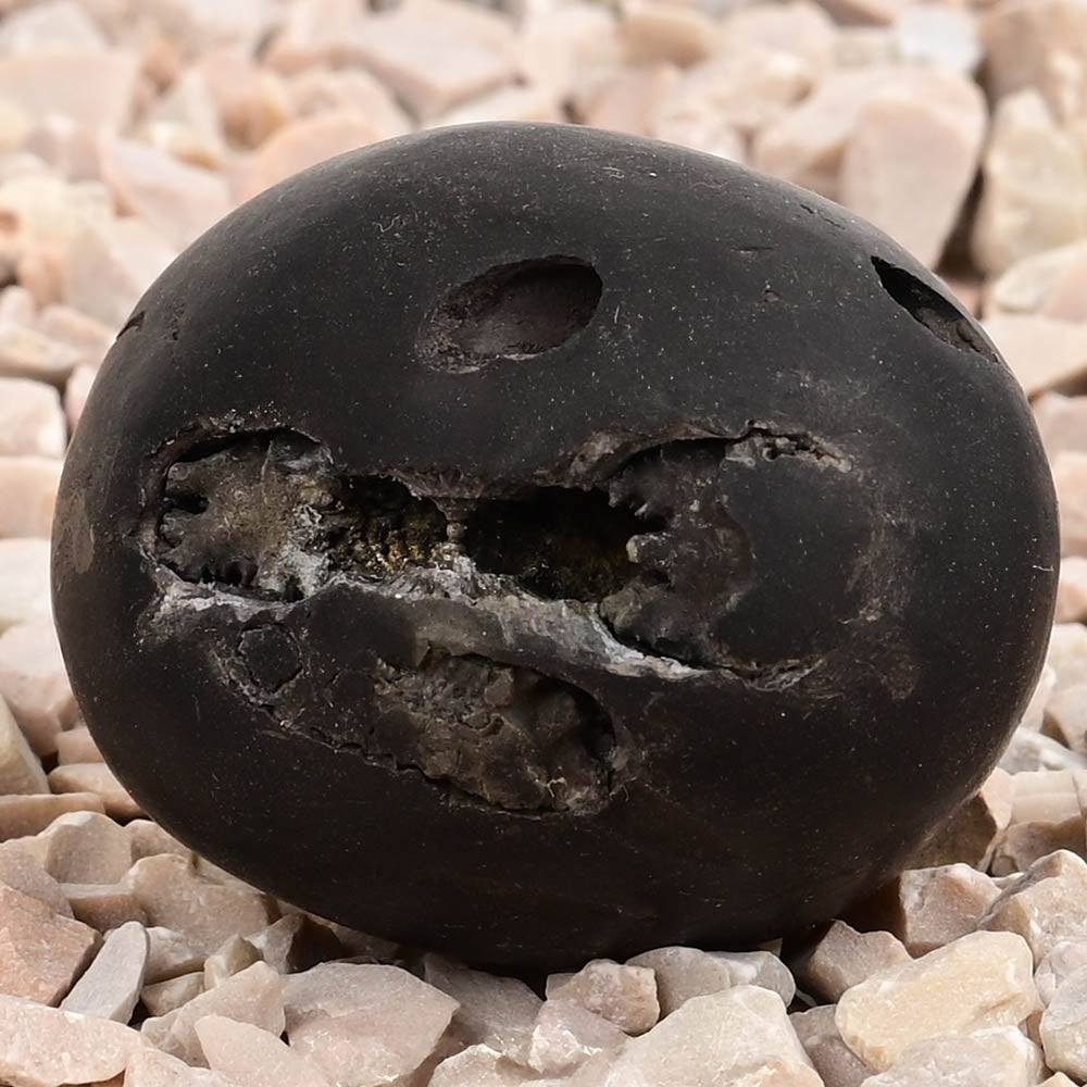 Kamal Laxmi Narsimha Shaligram Shila - 58 gms