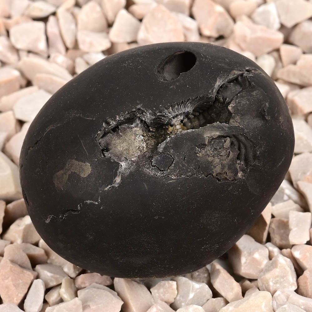 Kamal Laxmi Narsimha Shaligram Shila - 58 gms