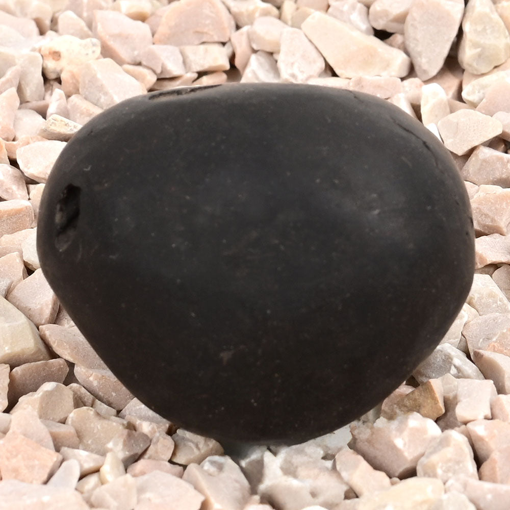 Kamal Laxmi Narsimha Shaligram Shila - 58 gms
