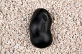 Garbho Dakshayi Vishnu Shaligram