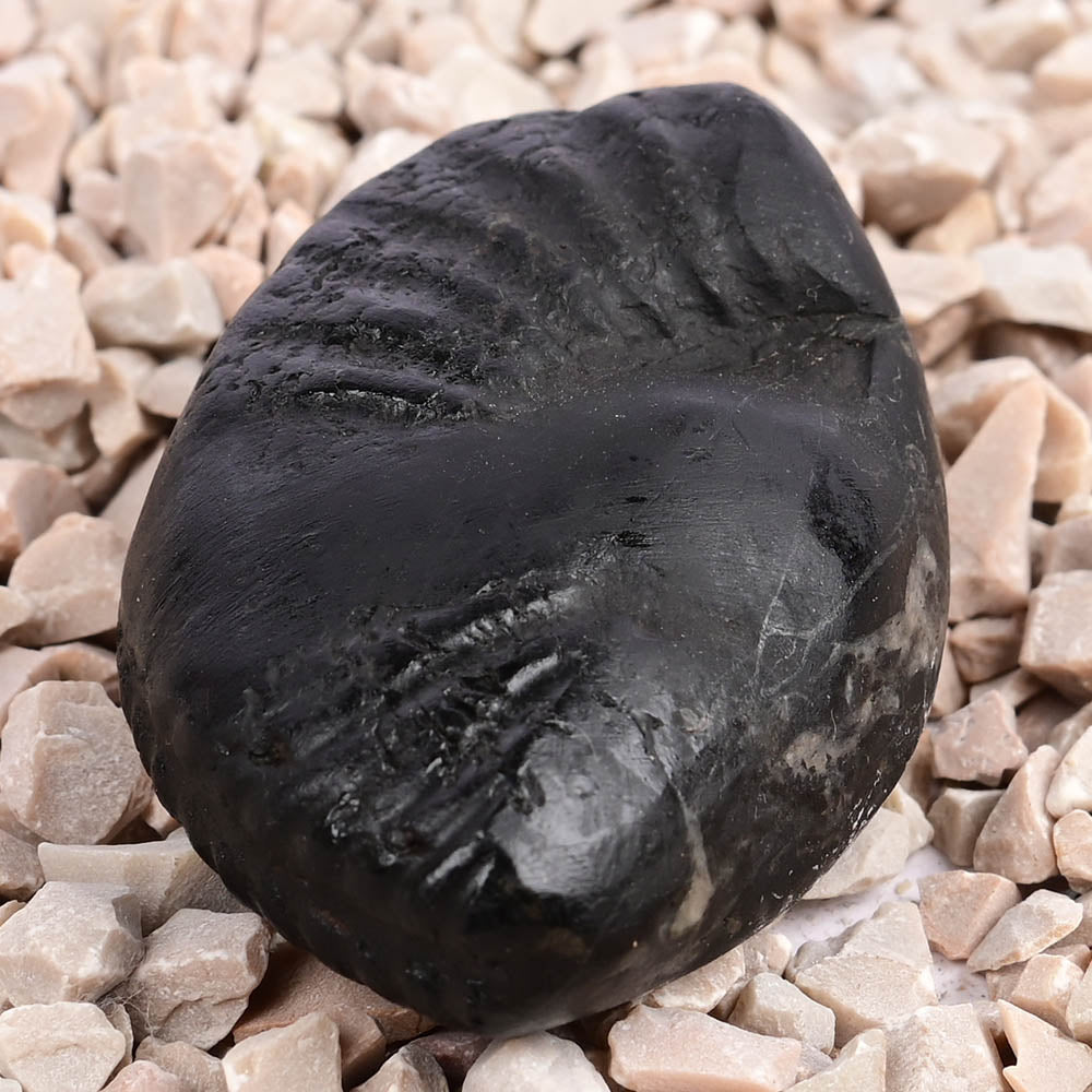 Crystal Kalpavriksha Krishna Laxmi Shaligram Shila
