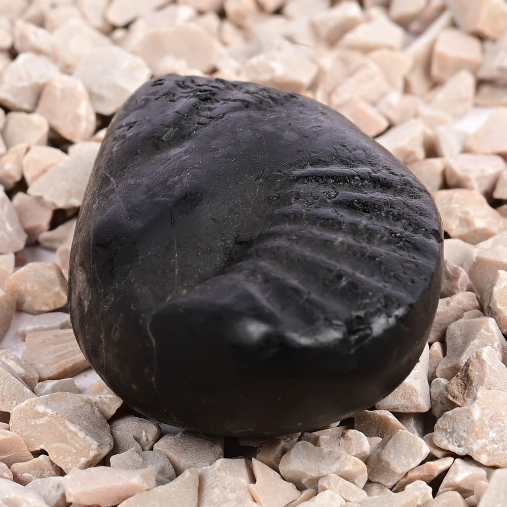 Crystal Kalpavriksha Krishna Laxmi Shaligram Shila