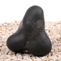 Panchmukhi Hanuman Shaligram Shila - 256 gms