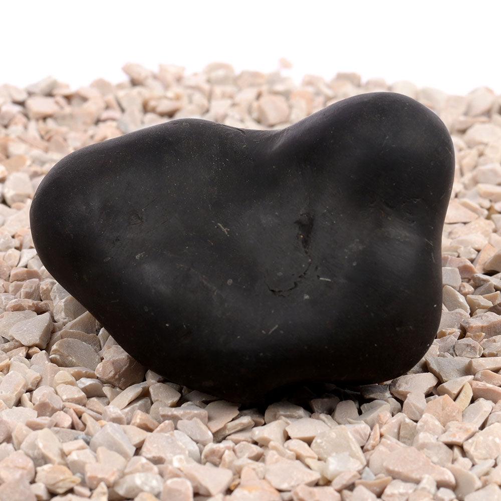 Panchmukhi Hanuman Shaligram Shila - 256 gms