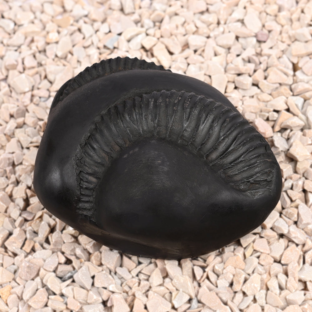 Sampurna Shiva Parivar Shaligram Shila