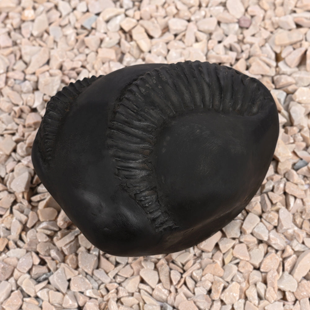 Sampurna Shiva Parivar Shaligram Shila