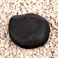 Laxmi Kalki Avatar Shaligram Shila